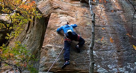 rock climbing forest glen.